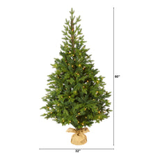 Load image into Gallery viewer, 5&#39; Fraser Fir &#39;Natural Look&#39; Artificial Christmas Tree w/ 190 Clear LED Lights
