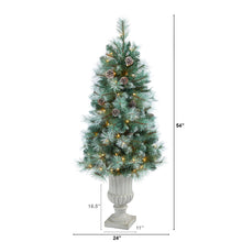 Load image into Gallery viewer, 4.5' Frosted Tip British Columbia Mountain Pine Artificial Christmas Tree
