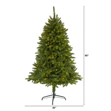 Load image into Gallery viewer, 5' Sierra Spruce 'Natural Look' Artificial Christmas Tree w/ 200 Clear LED Light
