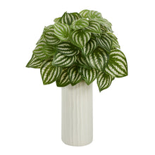 Load image into Gallery viewer, 15&quot; Watermelon Peperomia Artificial Plant in White Planter (Real Touch)
