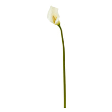 Load image into Gallery viewer, 30&quot; Calla Lily Artificial Flower (Set of 6)
