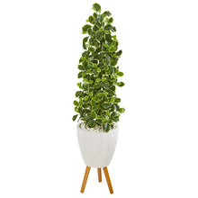 Load image into Gallery viewer, 51&quot; Variegated Holly Leaf Artificial Tree in White Planter with Stand
