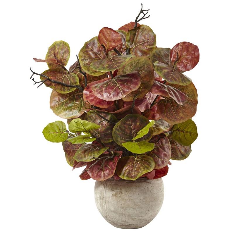 Seagrape Plant in Sand Colored Bowl