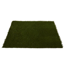 Load image into Gallery viewer, 3&#39; x 4&#39; Artificial Professional Grass Turf Carpet UV Resistant
