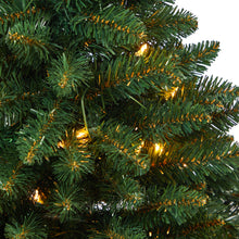 Load image into Gallery viewer, 3.5&#39; Northern Rocky Spruce Artificial Christmas Tree w/ 50 Clear Lights
