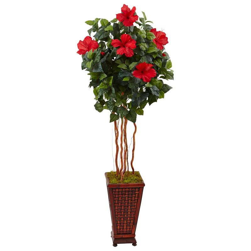 5' Hibiscus Tree in Decorated Wooden Planter