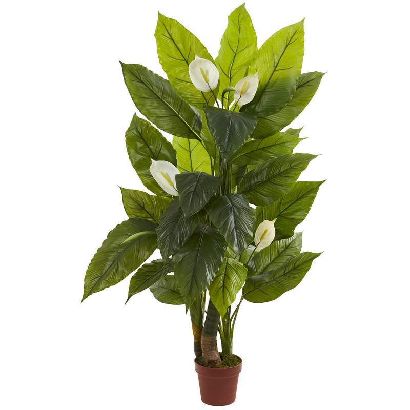 4.5' Spathyfillum Plant (Real Touch)