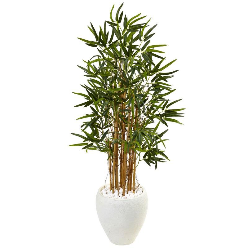 4' Bamboo Tree in White Oval Planter
