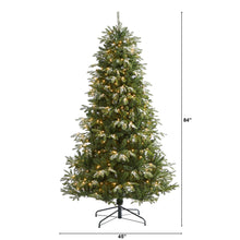 Load image into Gallery viewer, 7&#39; Snowed Grand Teton Artificial Christmas Tree with 500 Clear Lights
