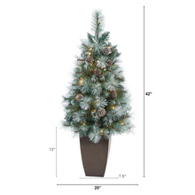 Load image into Gallery viewer, 3.5&#39; Frosted Tip British Columbia Mountain Pine Artificial Christmas Tree
