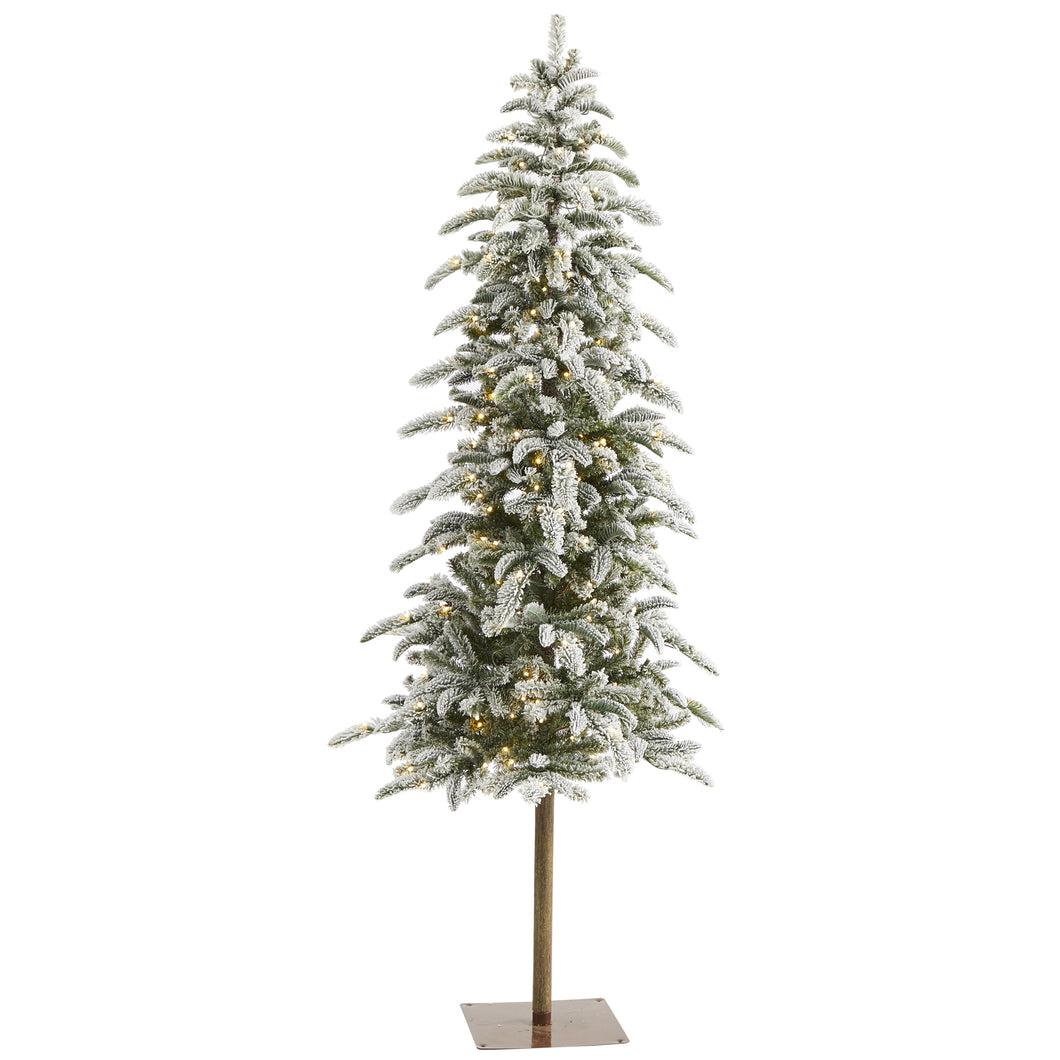 6.5' Flocked Washington Alpine Christmas Artificial Tree w/250 White Warm LED
