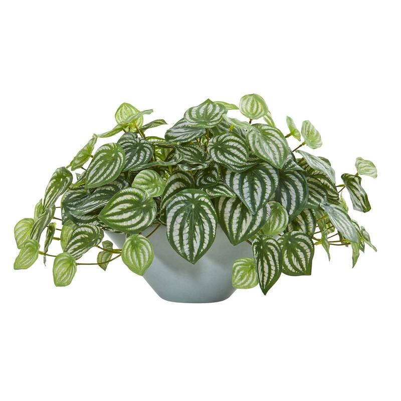 19' Watermelon Peperomia Artificial Plant in Green Vase (Real Touch)