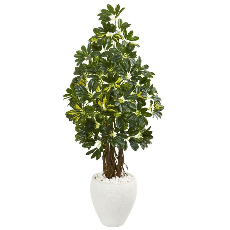 53' Schefflera Artificial Tree in White Planter