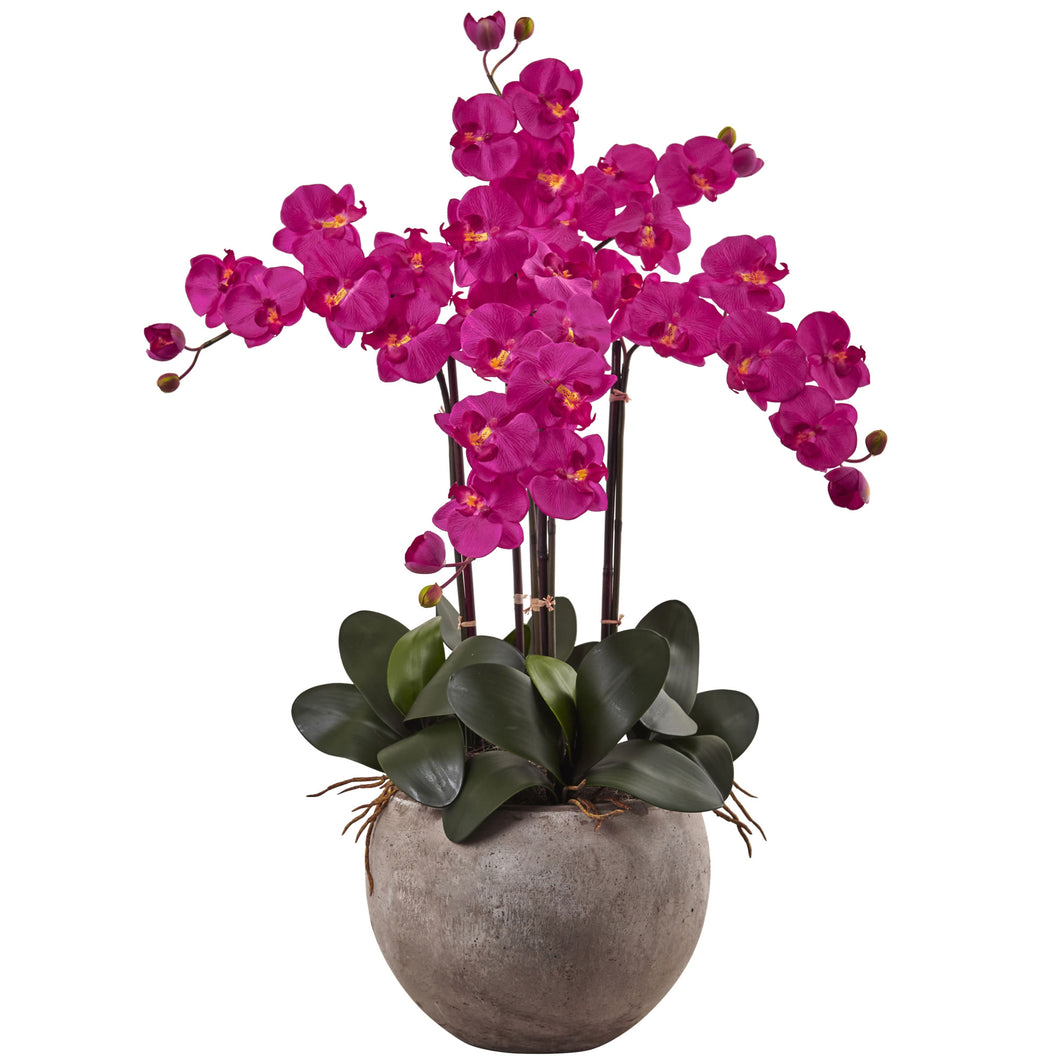 Phalaenopsis Orchid Arrangement with Sand Colored Bowl