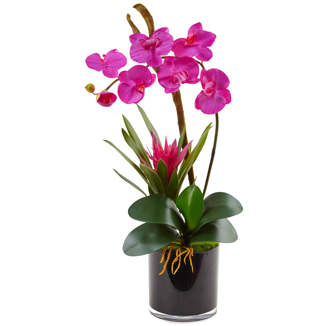 Orchid and Bromeliad in Glossy Black Cylinder