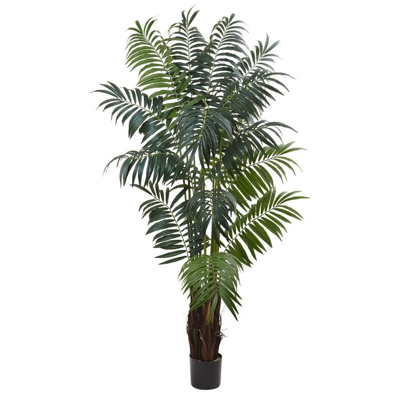 7.5' Bulb Areca Palm Tree