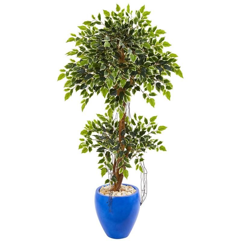 4.5' Variegated Ficus Artificial Tree in Blue Planter