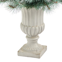 Load image into Gallery viewer, 4.5' Frosted Tip British Columbia Mountain Pine Artificial Christmas Tree

