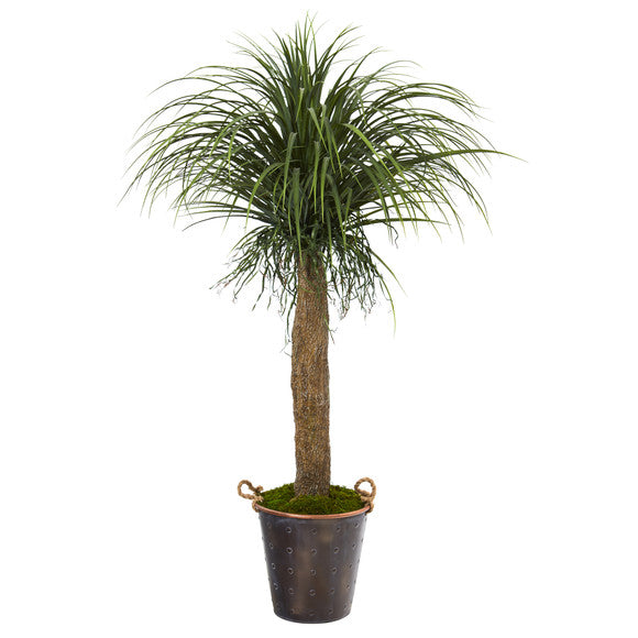 5' Pony Tail Palm Artificial Plant in Decorative Metal Pail with Rope