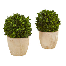 Load image into Gallery viewer, 6&quot; Boxwood Ball Preserved Plant in Planter (Set of 2)
