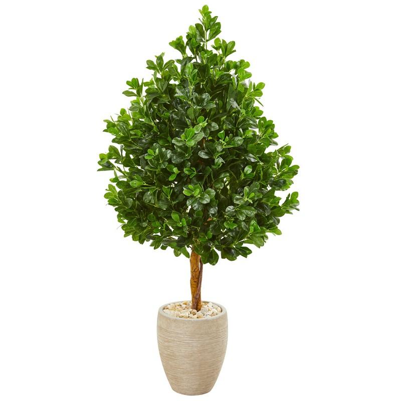 59