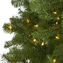 Load image into Gallery viewer, 6&#39; Springfield Artificial Christmas Tree with 300 Warm Clear Lights / 596 Tips
