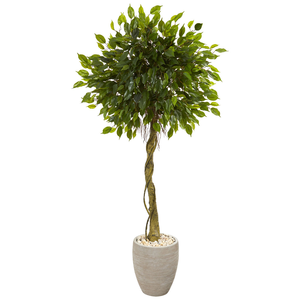 5.5' Ficus Artificial Tree in Oval Planter UV Resistant