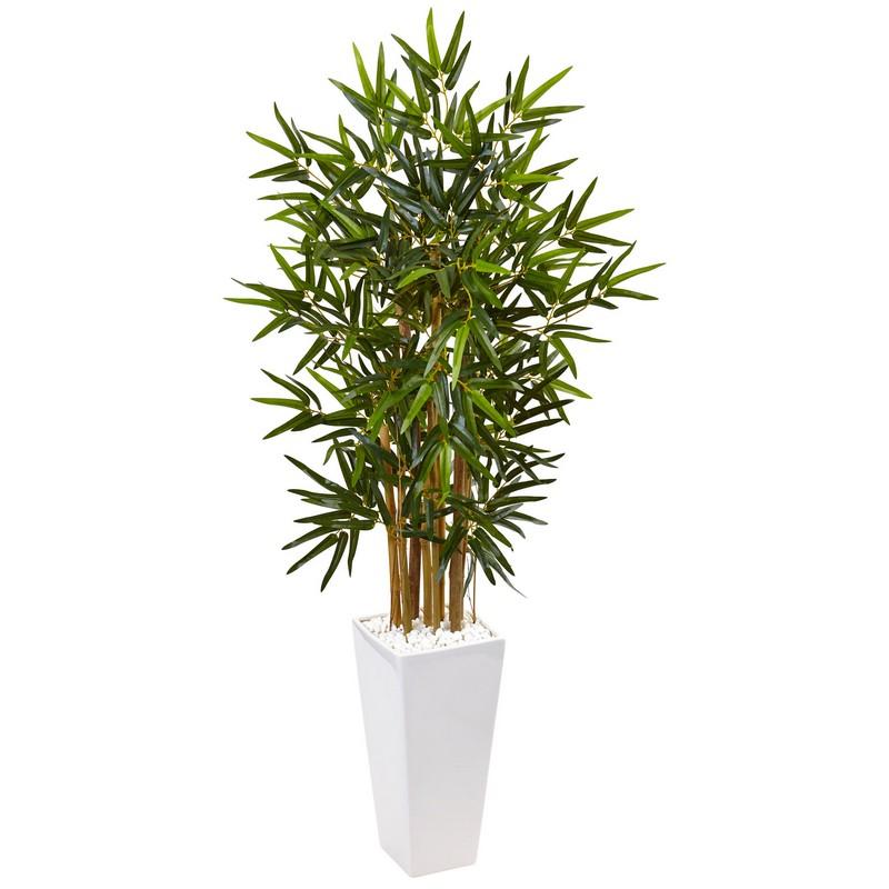 4' Bamboo Tree in White Tower Planter