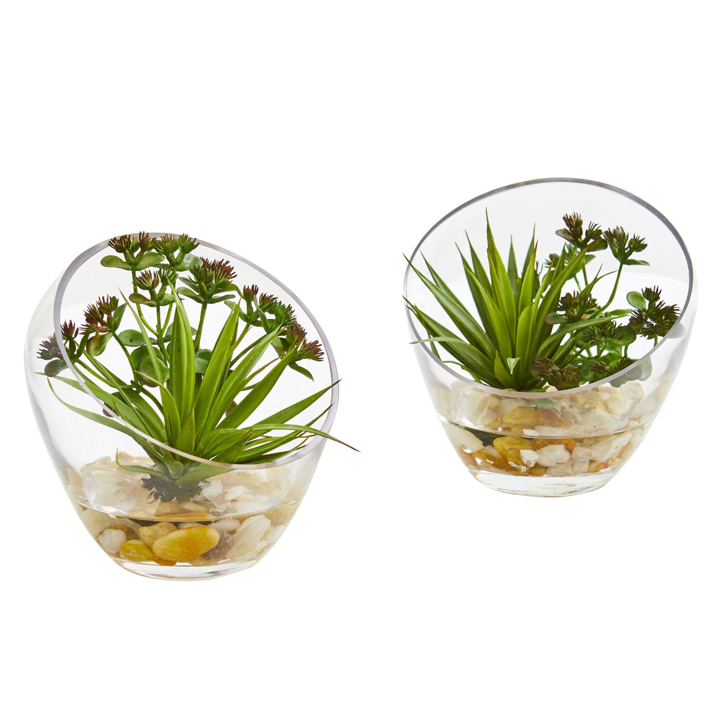 Spiky Succulent Artificial Plant in Slanted Glass (Set of 2)