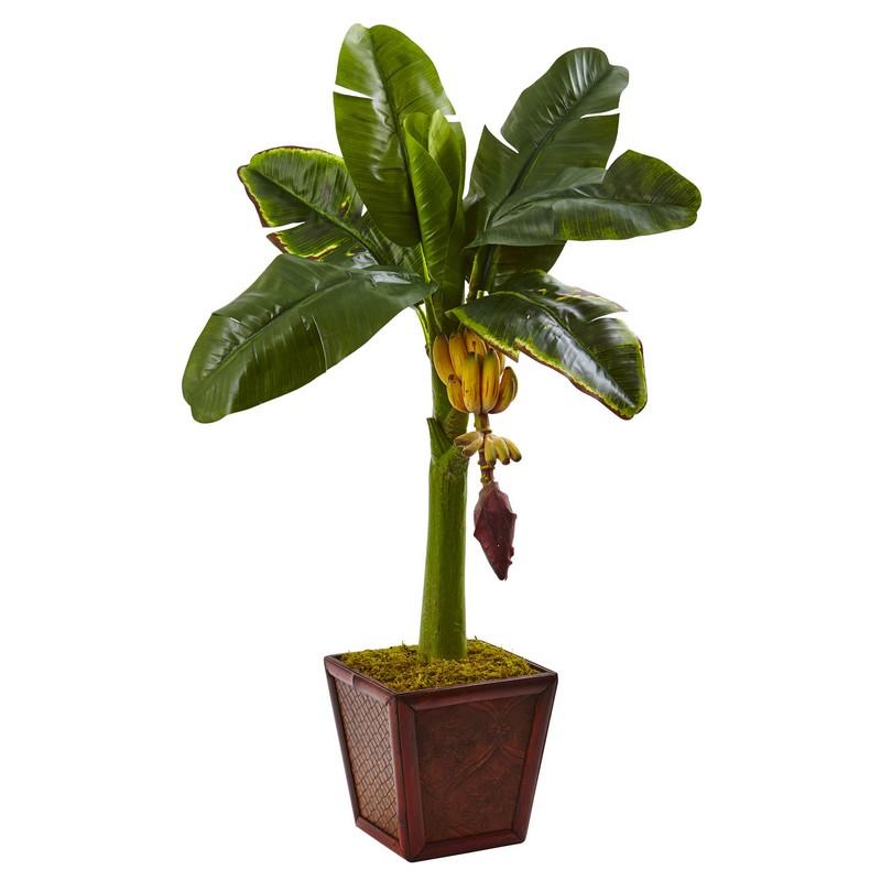 Banana Tree in Wooden Planter