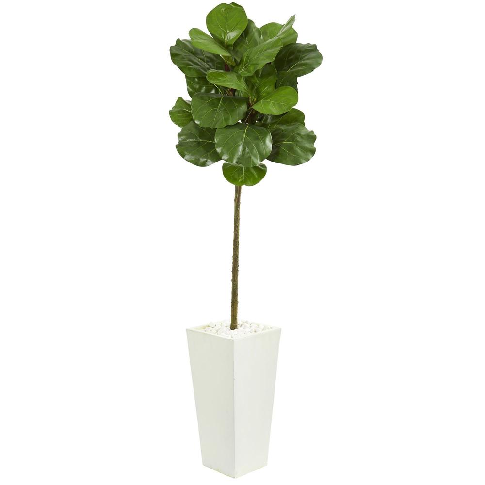 5.5' Fiddle Leaf Artificial Tree in White Tower Planter