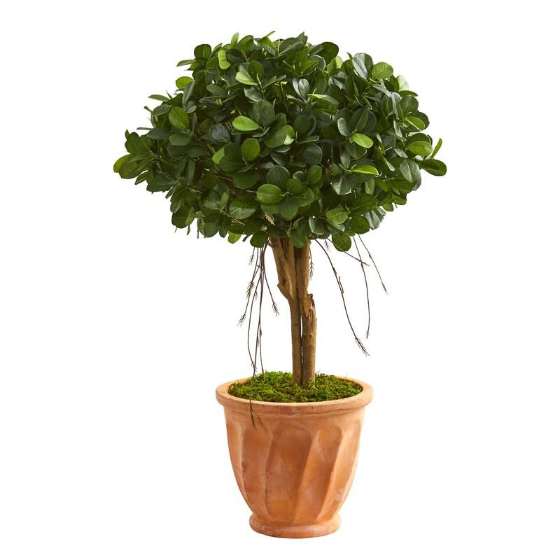 3' Ficus Artificial Tree in Terra Cotta Planter