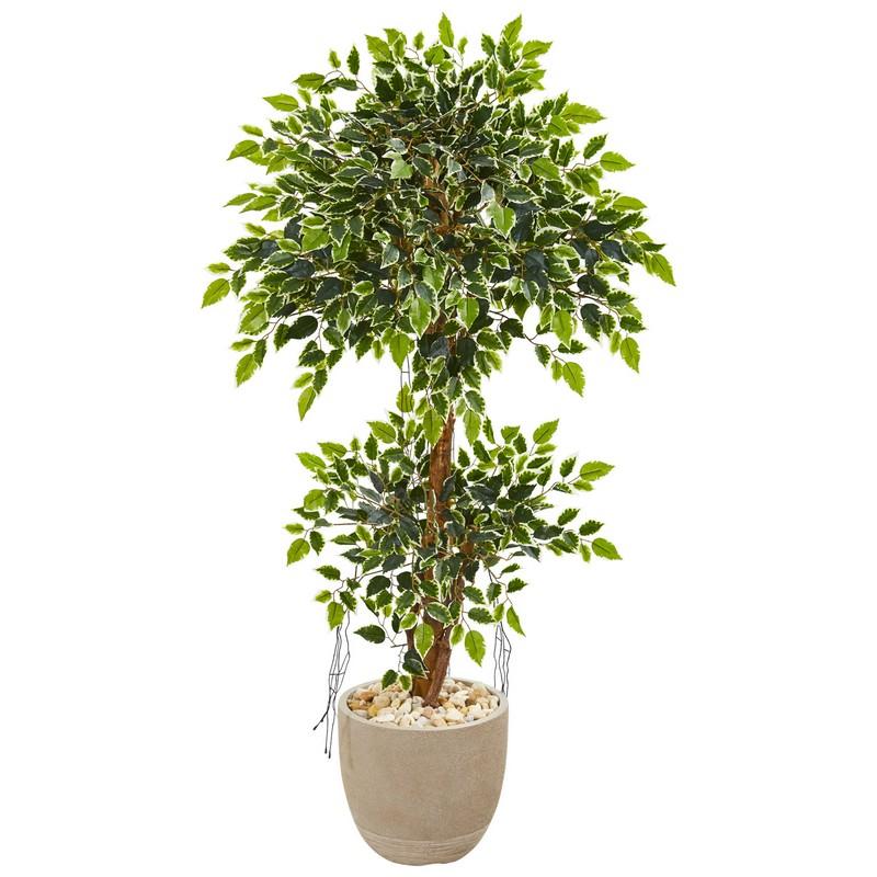 55' Variegated Ficus Artificial Tree in Sandstone Planter