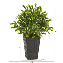 Load image into Gallery viewer, 19&quot; Sweet Grass Artificial Plant in Embossed Black Planter
