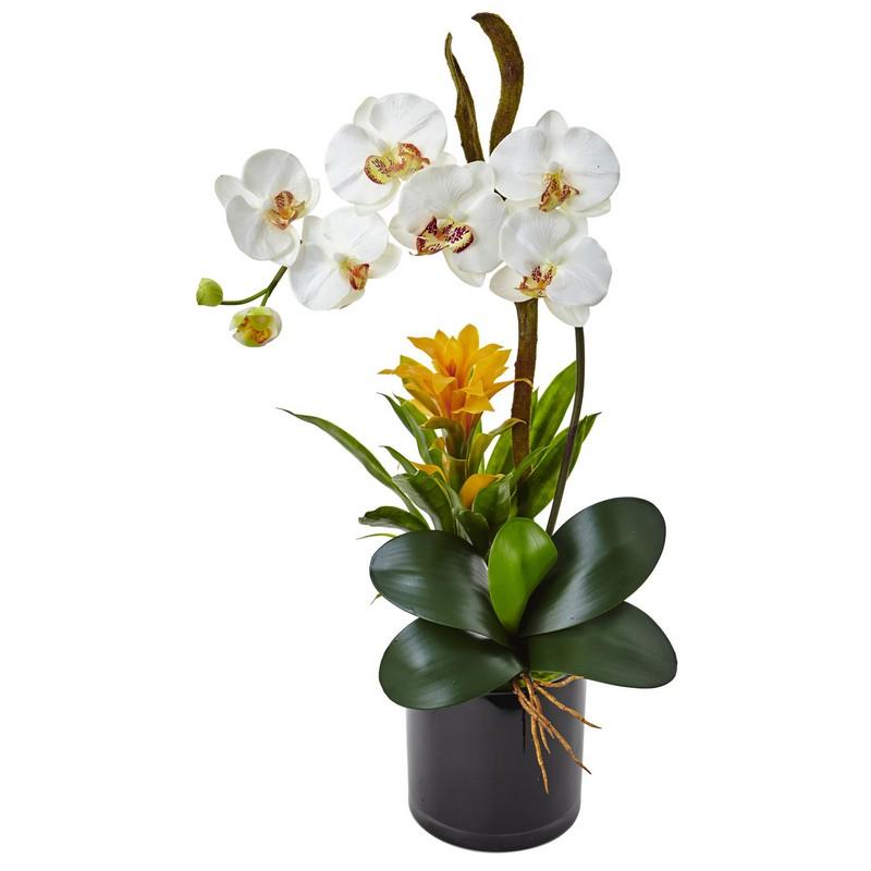 Orchid and Bromeliad in Glossy Black Cylinder