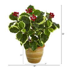 Load image into Gallery viewer, 14&quot; Variegated Holly Leaf Artificial Plant in Ceramic Planter (Real Touch)
