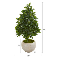 Load image into Gallery viewer, 33&quot; Sweet Bay Cone Topiary Artificial Tree in Sand Colored Planter

