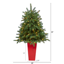 Load image into Gallery viewer, 3.5&#39; South Carolina Spruce Artificial Christmas Tree w/ 100 White Warm Light
