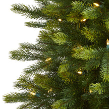 Load image into Gallery viewer, 6&#39; Manchester Fir Artificial Christmas Tree in Decorative Planter
