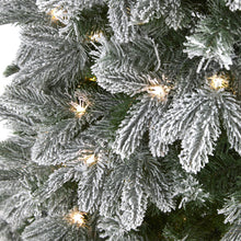 Load image into Gallery viewer, 5' Flocked Colorado Mountain Fir Artificial Christmas Tree

