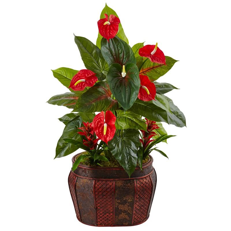 45' Mixed Anthurium and Bromeliad in Planter