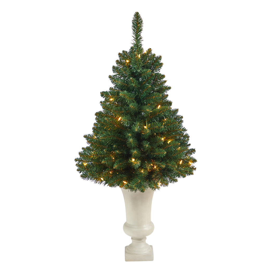3.5' Northern Rocky Spruce Artificial Christmas Tree w/ 50 Clear Lights