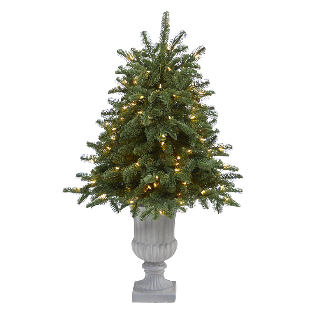 3.5' South Carolina Spruce Artificial Christmas Tree w/ 100 White Warm Light