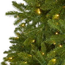 Load image into Gallery viewer, 9&#39; Sierra Spruce &#39;Natural Look&#39; Artificial Christmas Tree w/ 1000 Clear LED
