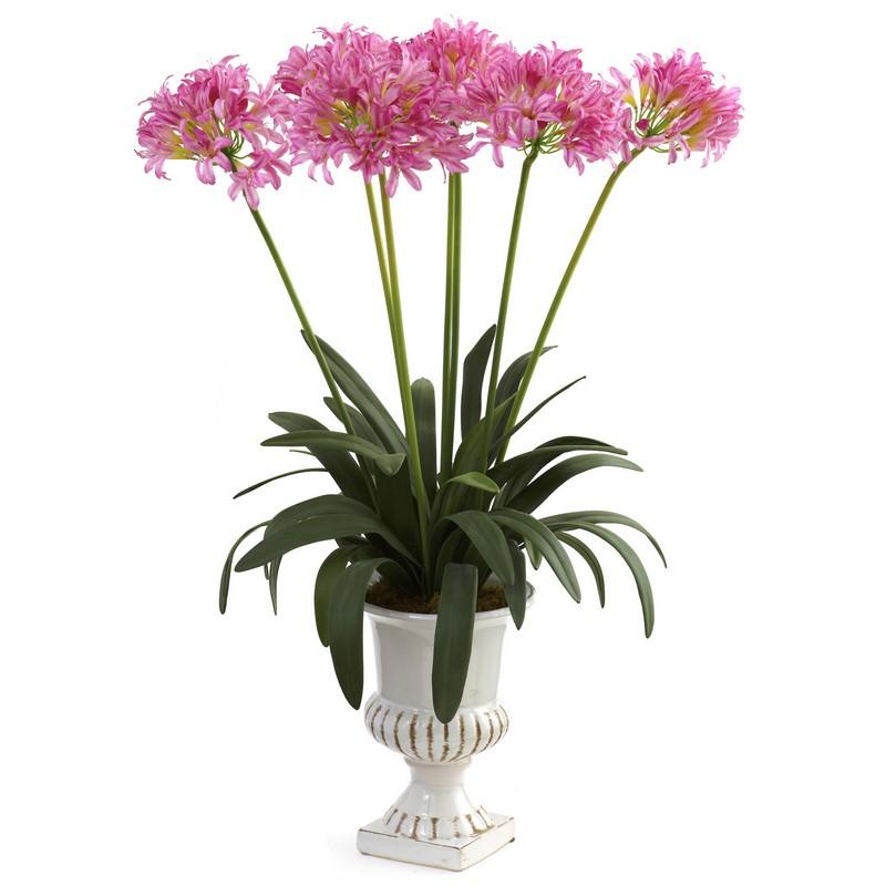 African Lily w/Urn