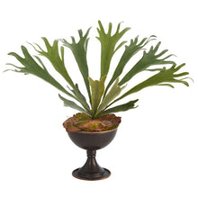 Load image into Gallery viewer, 18&quot; Staghorn Artificial Plant in Metal Chalice
