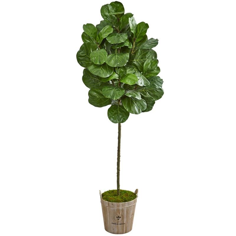 6.5' Fiddle Leaf Artificial Tree in Farmhouse Planter