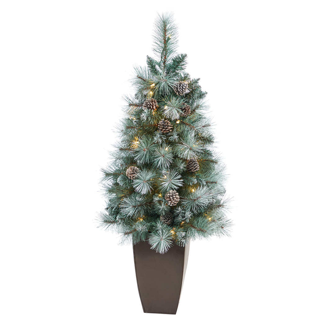 3.5' Frosted Tip British Columbia Mountain Pine Artificial Christmas Tree