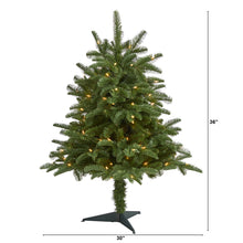 Load image into Gallery viewer, 3&#39; South Carolina Spruce Artificial Christmas Tree w/ 100 White Warm Light
