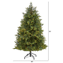Load image into Gallery viewer, 6&#39; North Carolina Fir Artificial Christmas Tree w 450 Clear Lights
